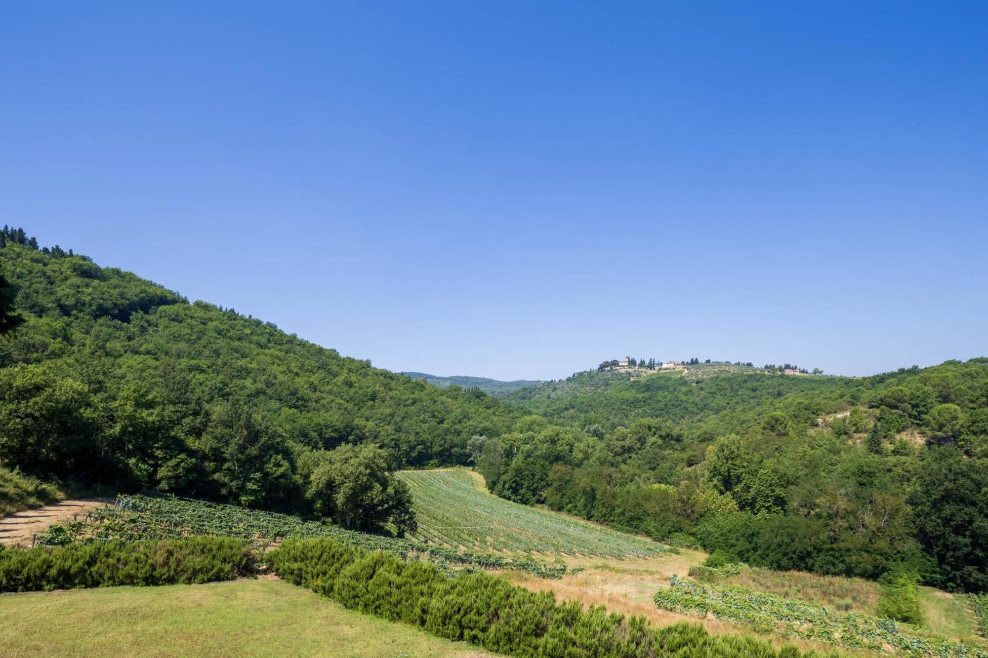 Foresteria Castello Di Verrazzano Greve in Chianti Buitenkant foto